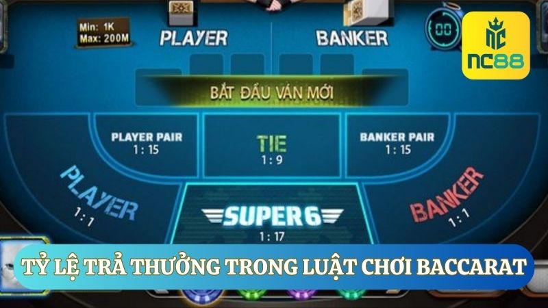 luật chơi baccarat về Tỷ lệ trả thưởng
